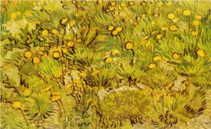 A Field of Yellow Flowers - Vincent van Gogh